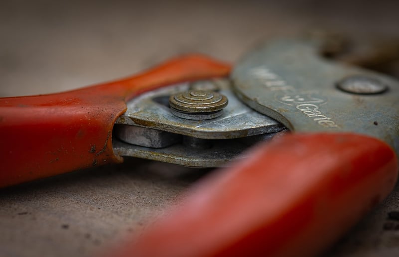 Pruning Equipment